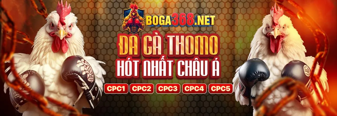 Đá Gà Trực Tuyến Hấp Dẫn tại xocdia trang chủ chính thức